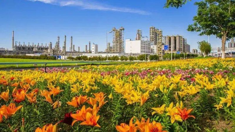 阳离子与阴离子表面活性剂：揭秘两者的本质区别
