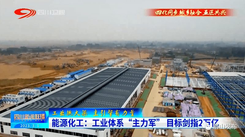 食品工业添加剂定制流程解析：从需求到成品